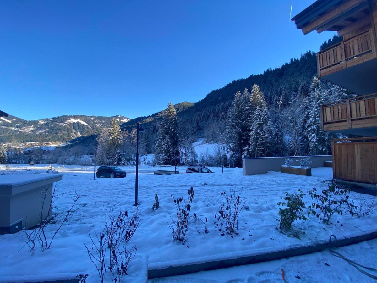 Lumineux Et Spacieux Appartement Contemporain Dans Une Residence Recente Et Paisible A Chatel - Fr-1-693-48 Exteriér fotografie